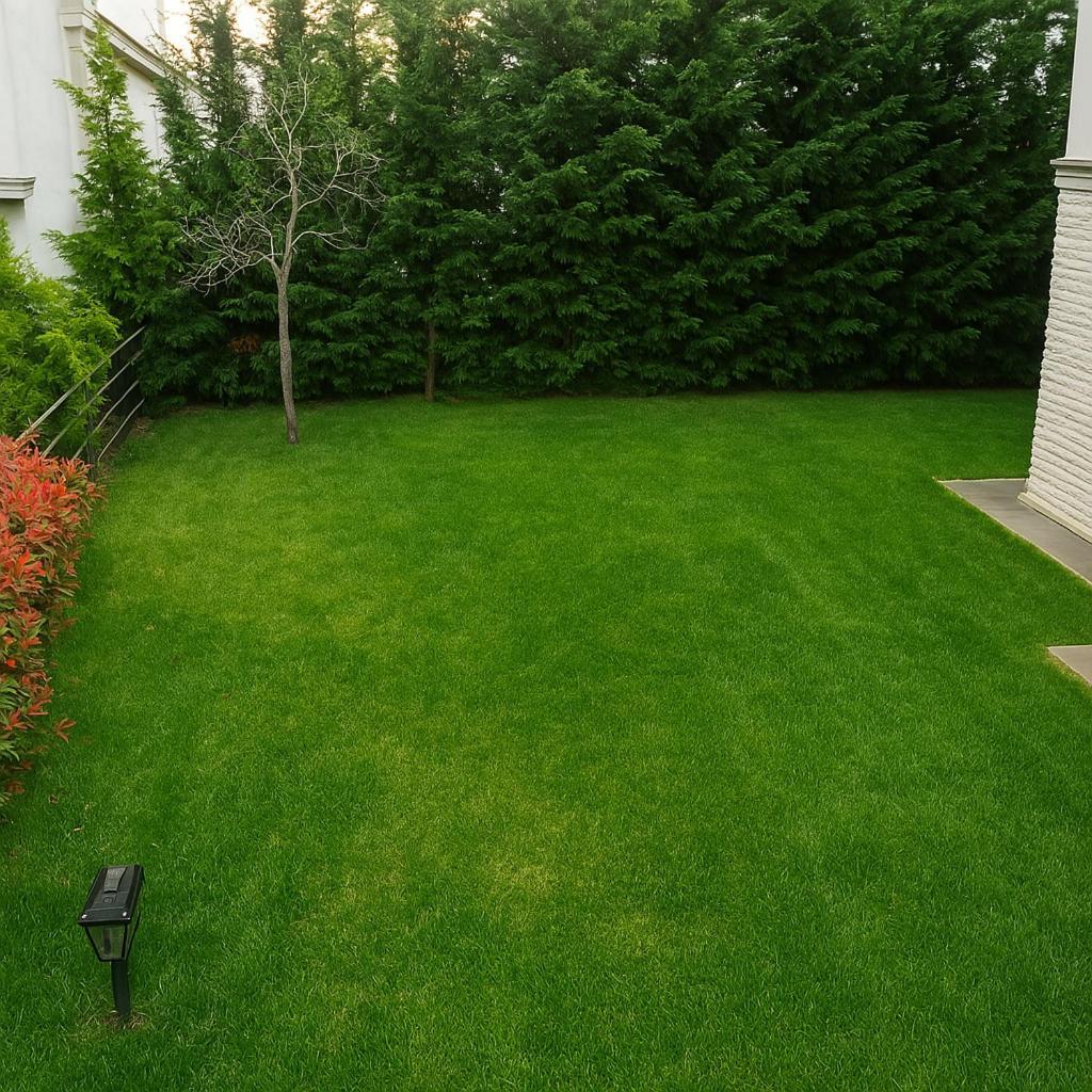 Nora Marmara Luxury Villas In Istanbul Buyukcekmece Εξωτερικό φωτογραφία